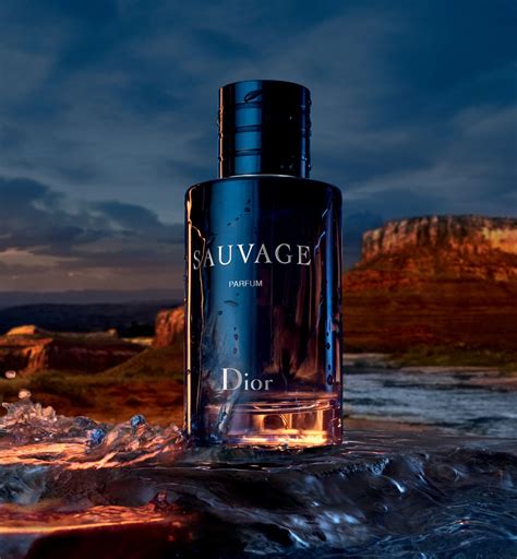 Sauvage: the world of the iconic Dior fragrance for men 